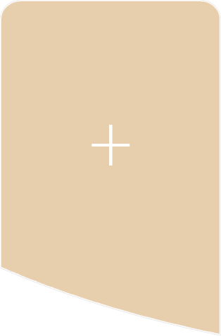 巴斯夫湛江一體化基地項目